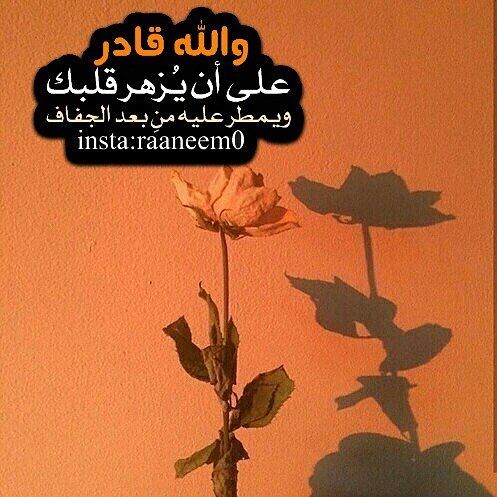 مسجات إسلامية