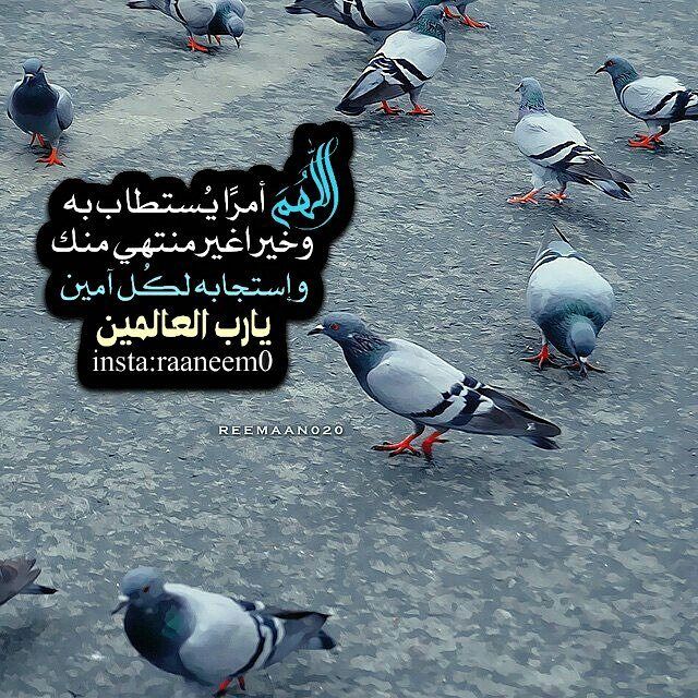 مسجات إسلامية