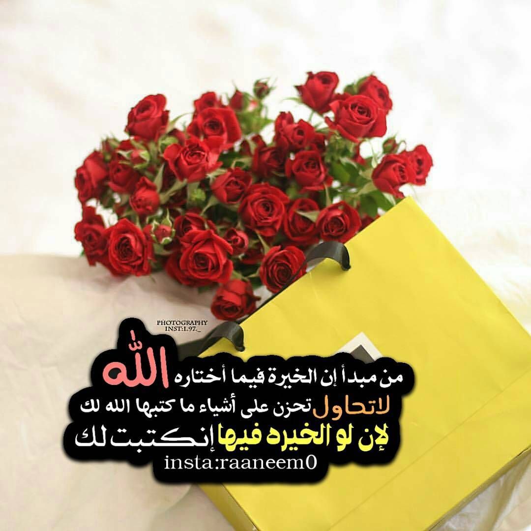 مسجات عبارات وخواطر