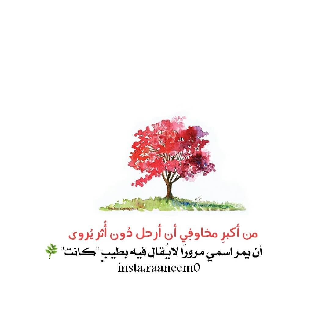 مسجات عبارات وخواطر