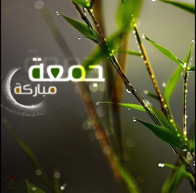 مسجات يوم الجمعة