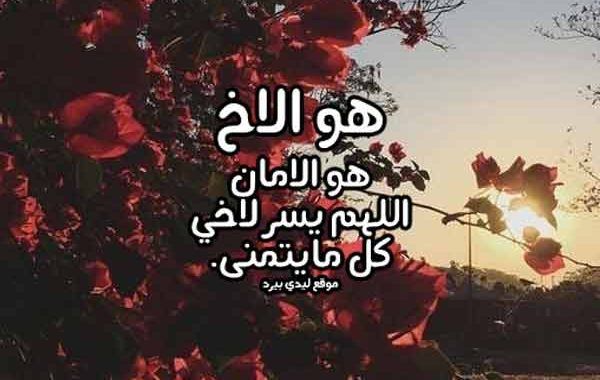مسجات عن الأخ