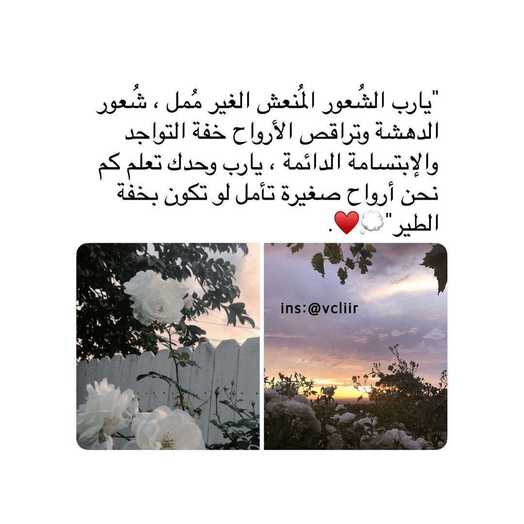 مسجات عبارات وخواطر