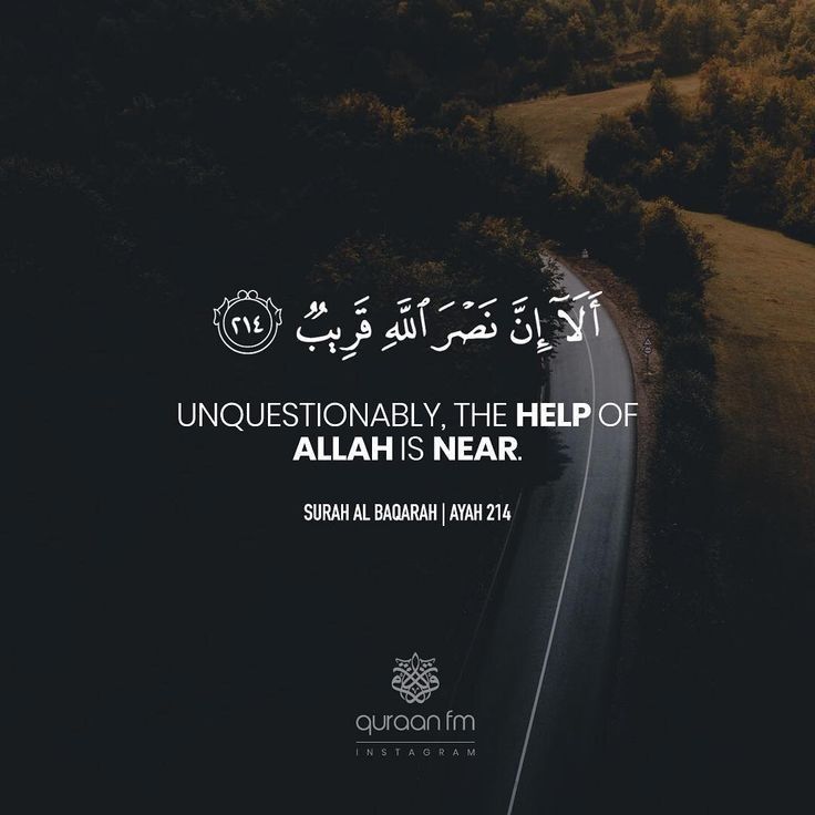 مسجات آيات