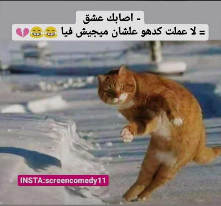 مسجات نكت