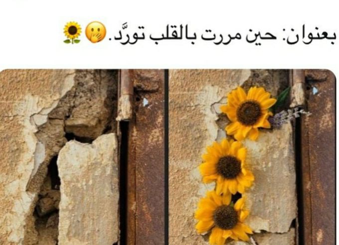 مسجات عن الحب بشكل عام