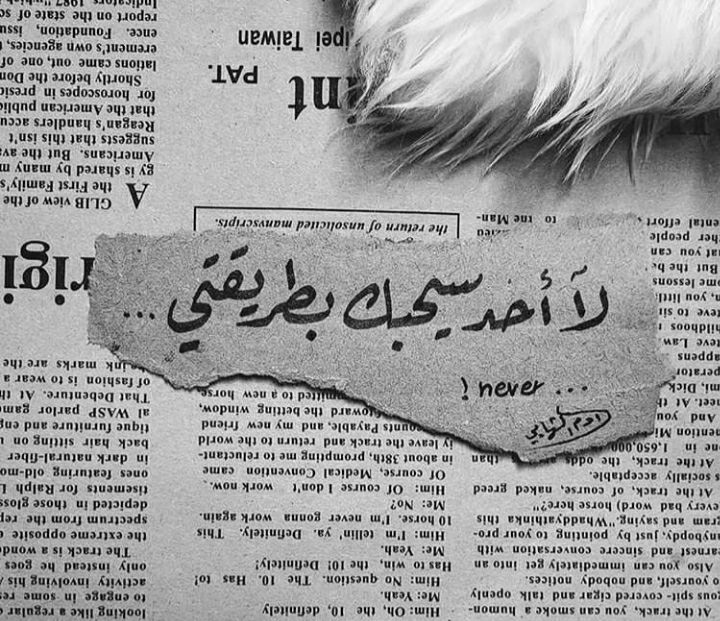 مسجات عن الحب بشكل عام