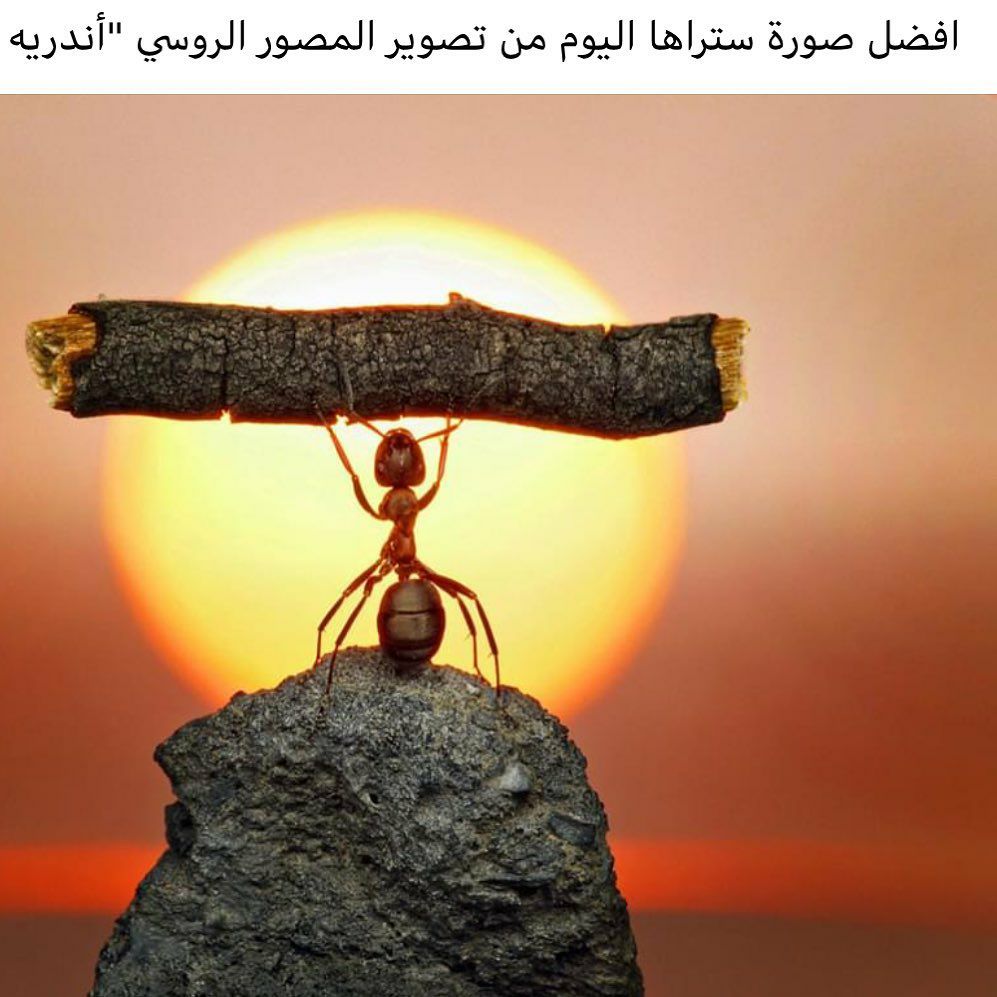 مسجات متنوعة