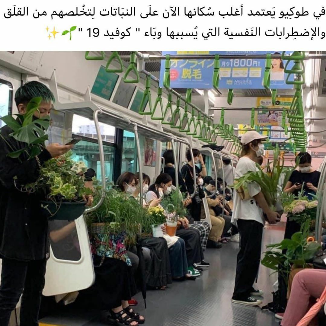 مسجات متنوعة