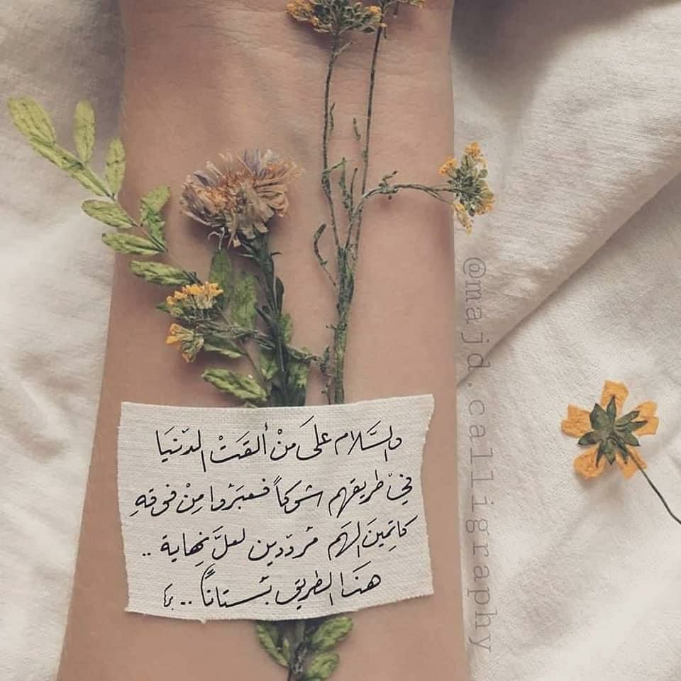 مسجات عبارات وخواطر