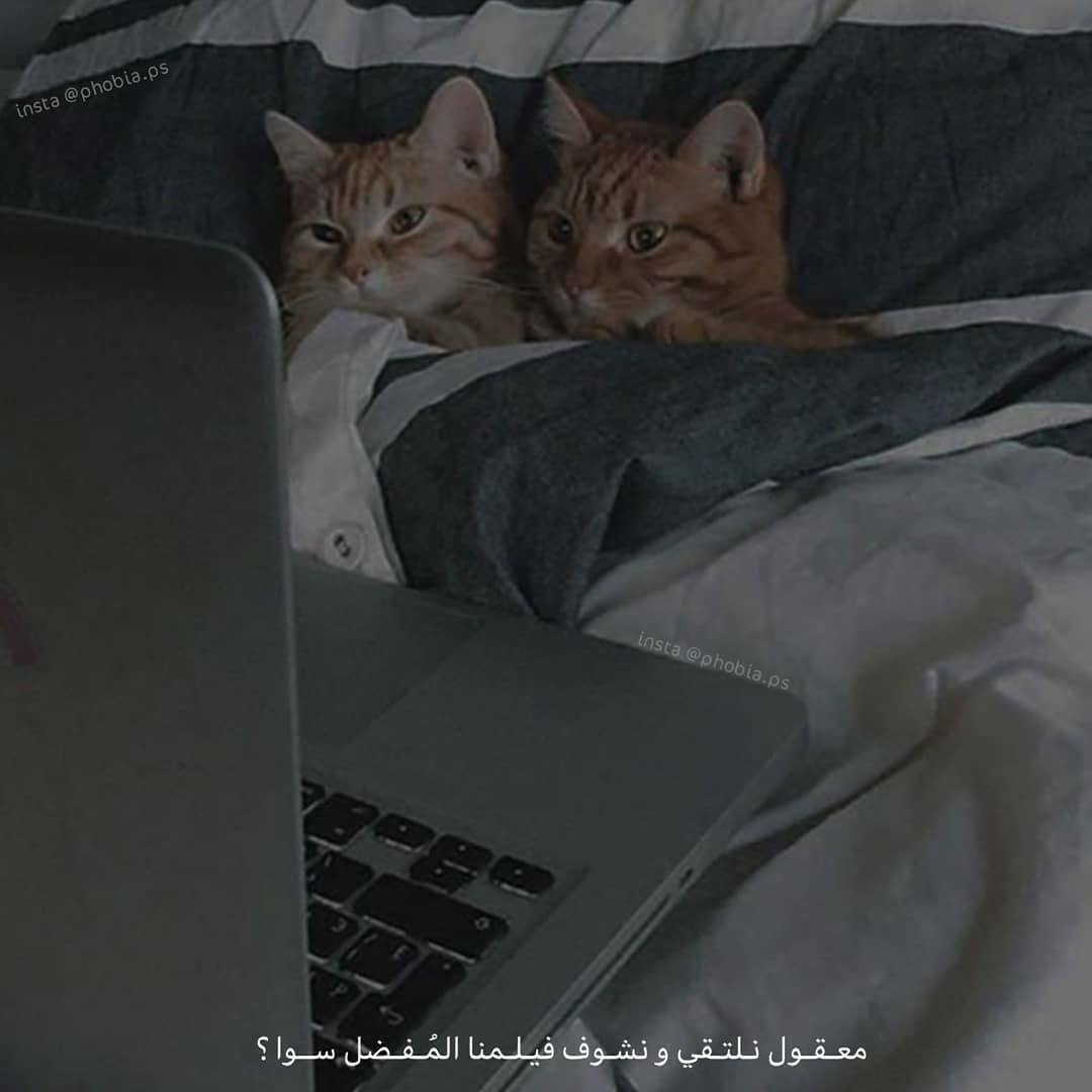 مسجات متنوعة