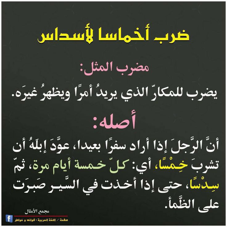 مسجات حكم وأمثال