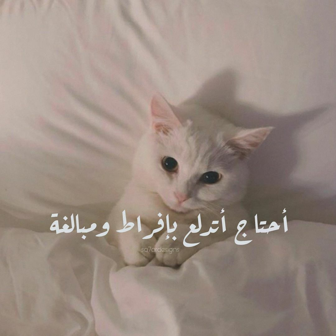 مسجات متنوعة