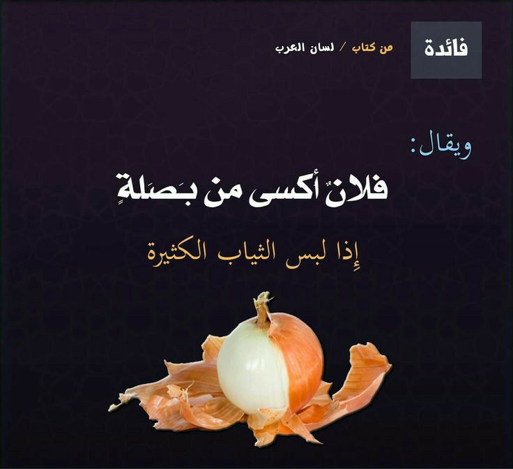 مسجات حكم وأمثال