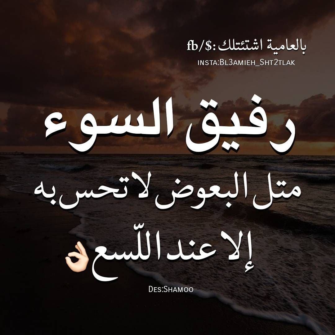 مسجات حكم وأمثال