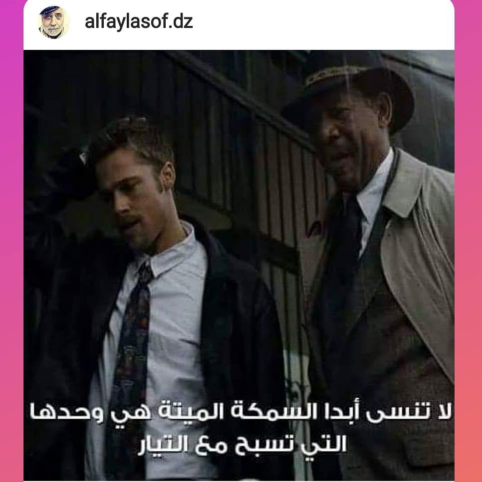 مسجات مقولات واقتباسات