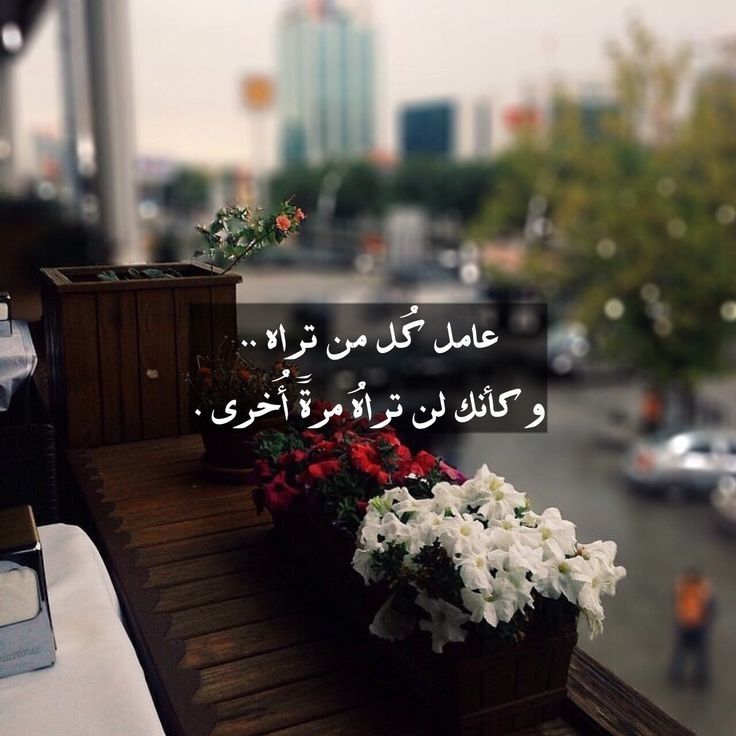 مسجات حكم وأمثال