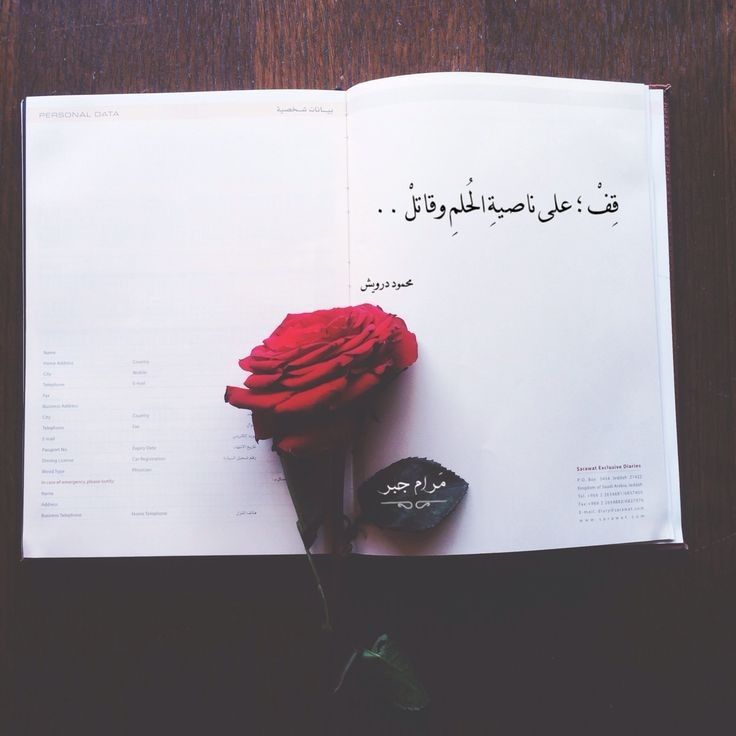 مسجات مقولات واقتباسات