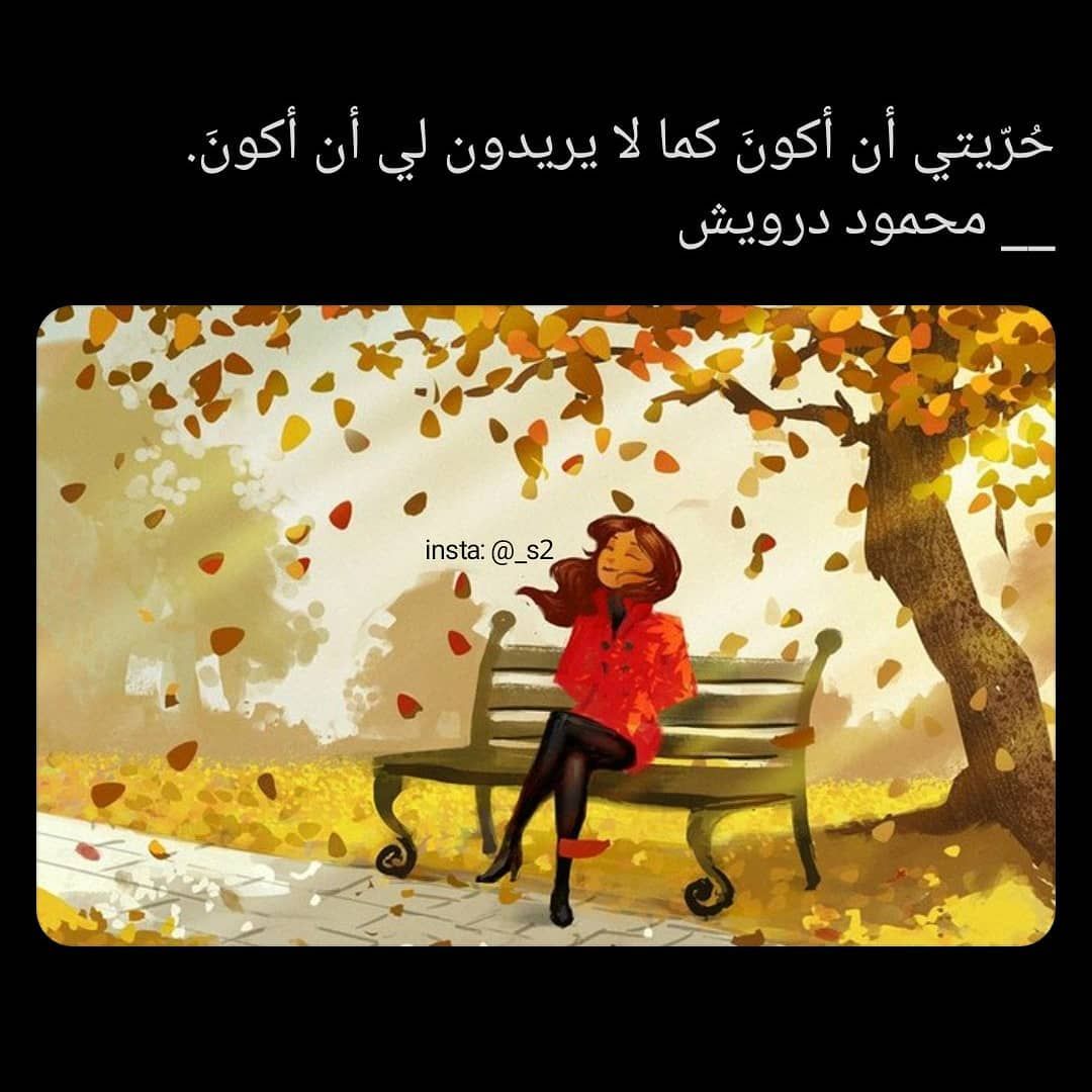مسجات مقولات واقتباسات