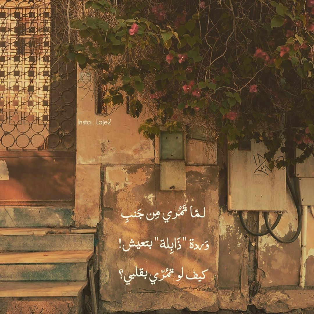 مسجات حب ورومانسية