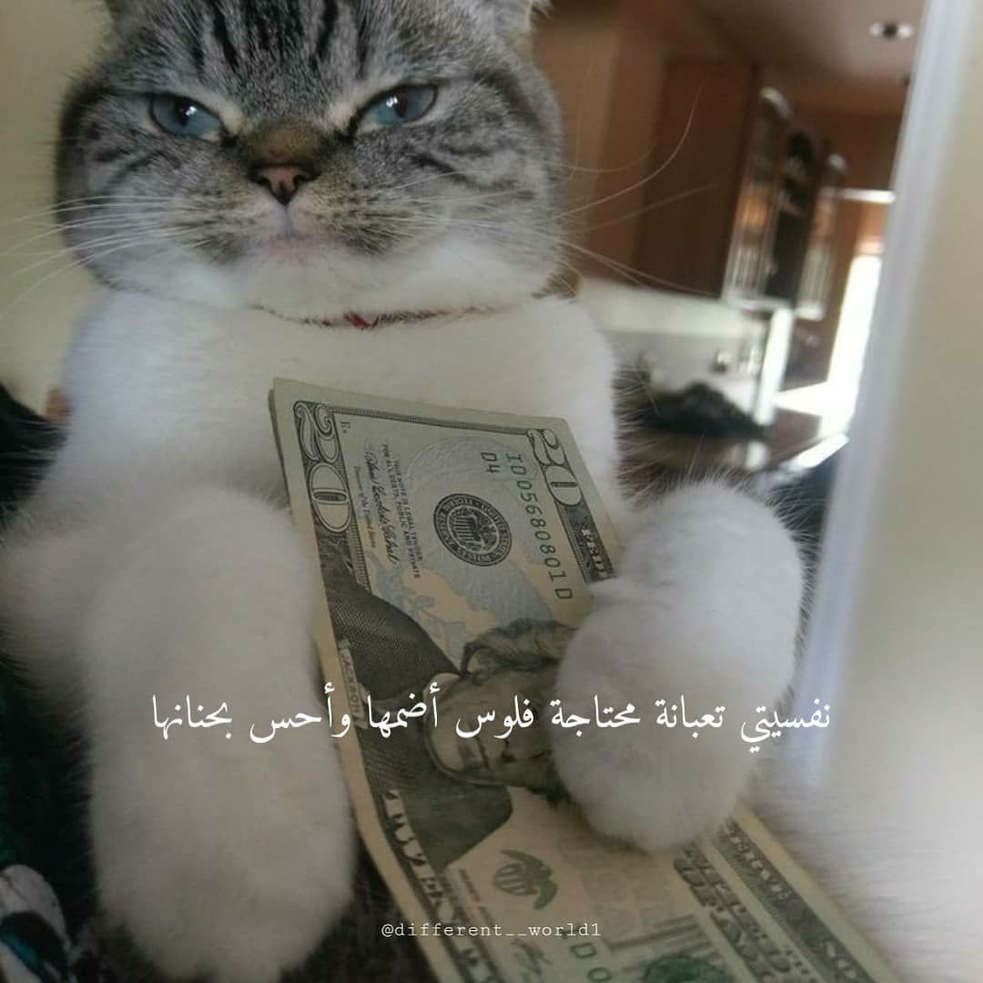 مسجات متنوعة