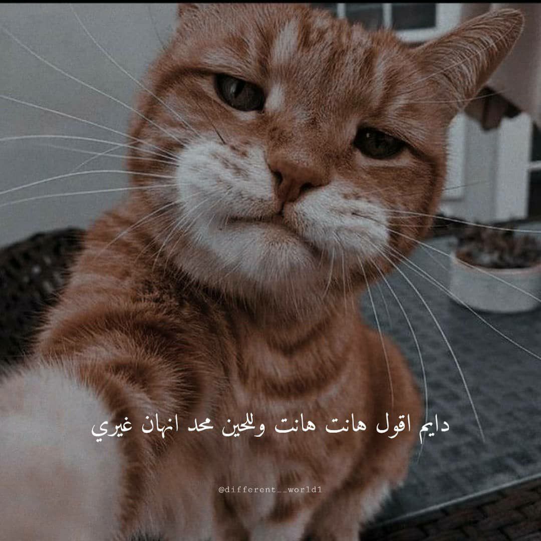 مسجات متنوعة