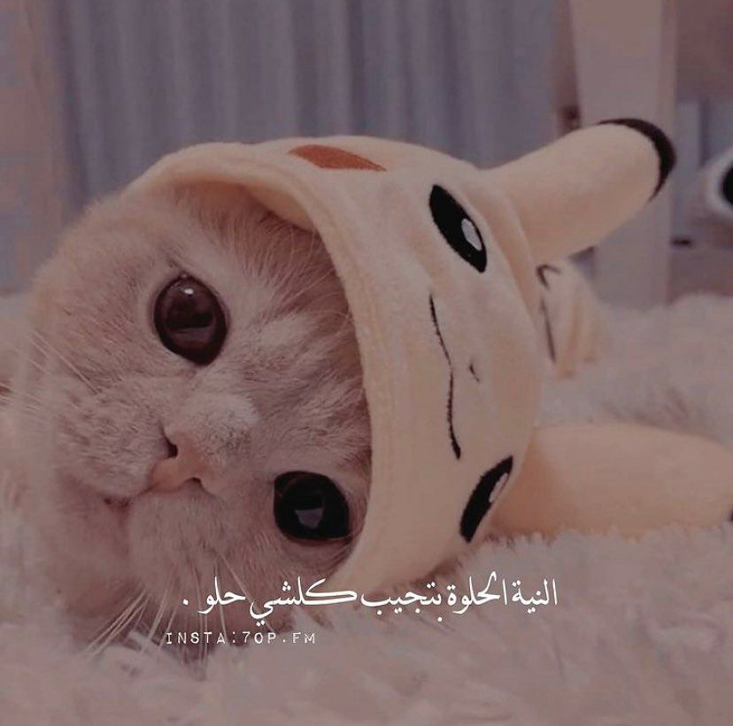 مسجات متنوعة