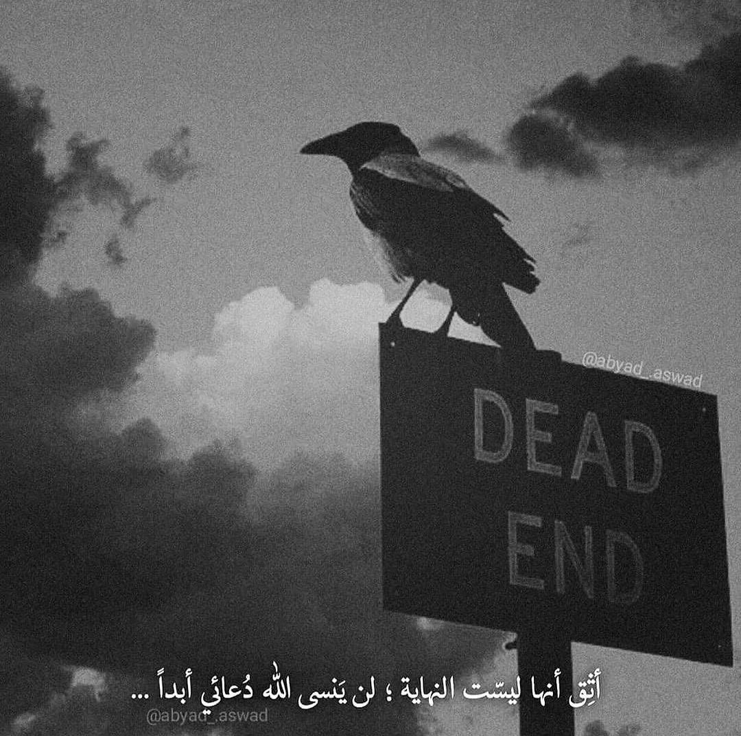 مسجات عام