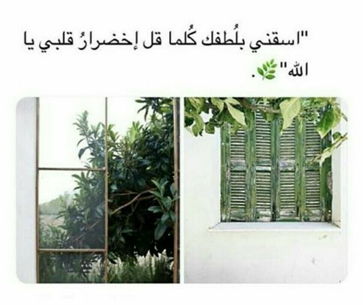 مسجات إسلامية