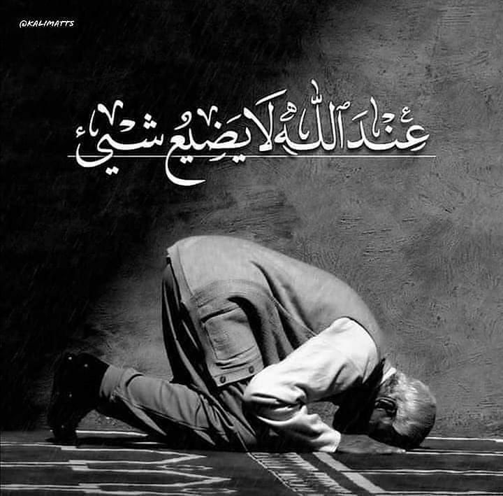 مسجات عام