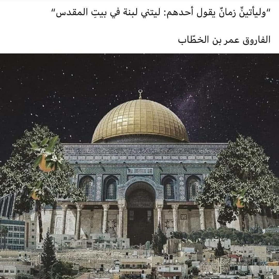 مسجات مقولات واقتباسات