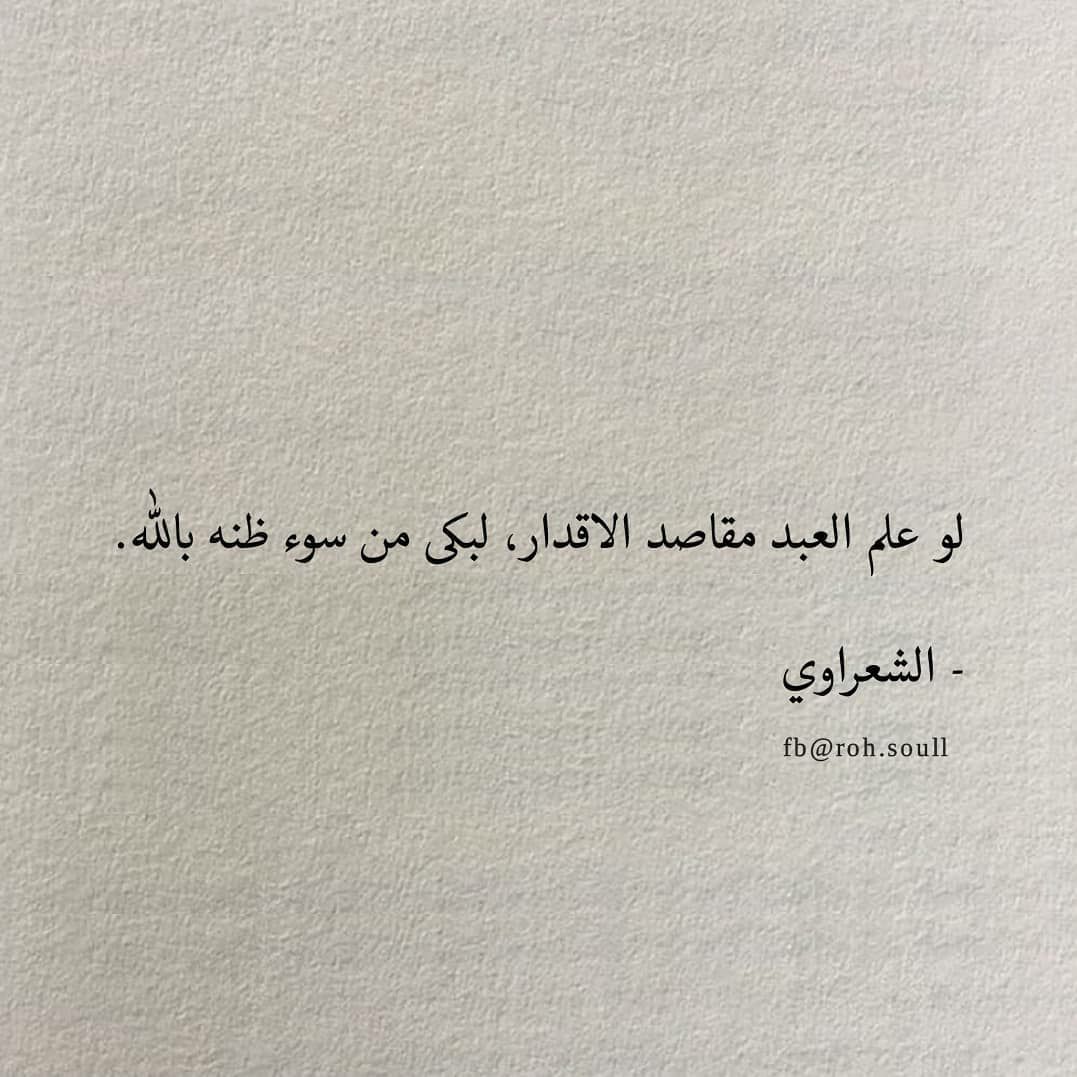 مسجات مقولات واقتباسات