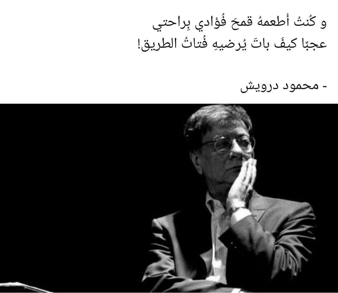 مسجات مقولات واقتباسات
