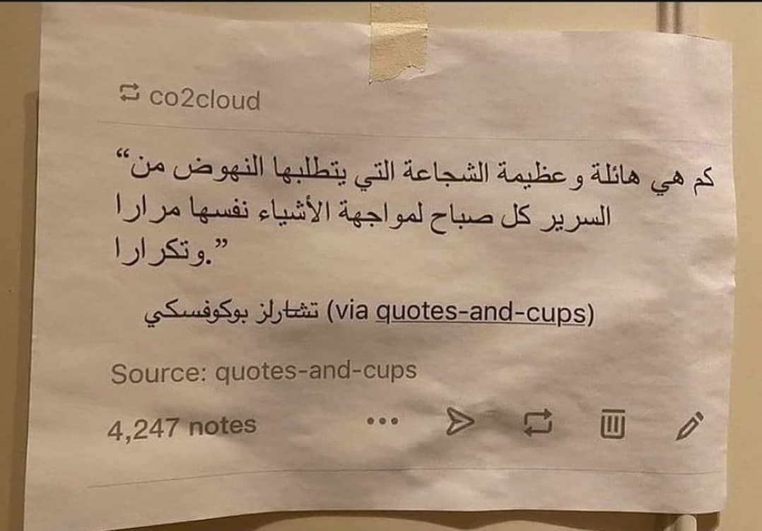 مسجات مقولات واقتباسات