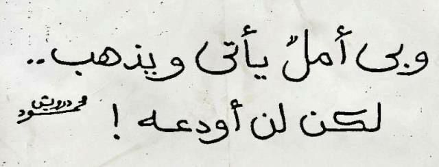 مسجات مقولات واقتباسات