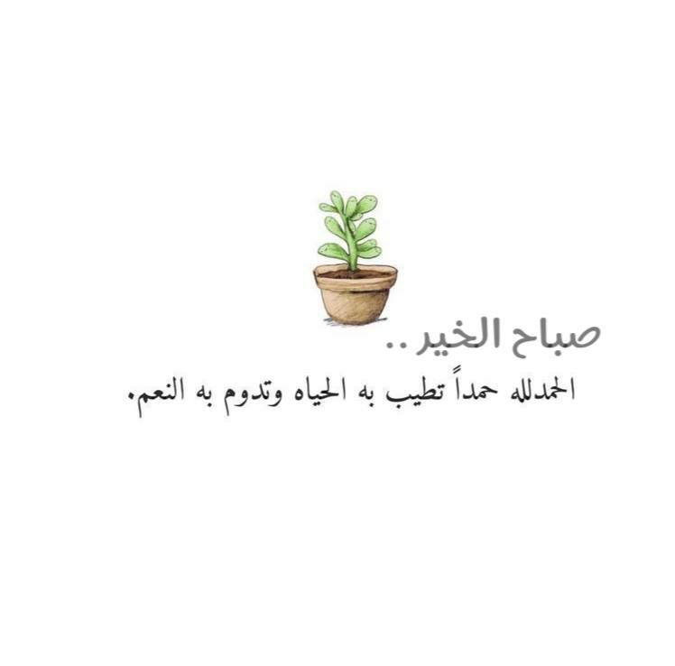 مسجات صباحية
