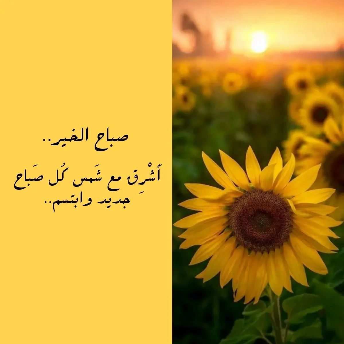 مسجات صباحية