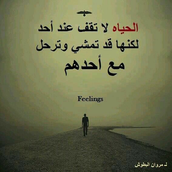 مسجات عن الحياة