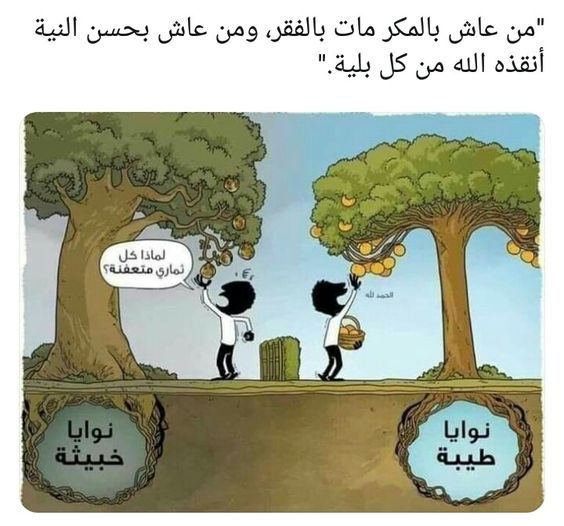 مسجات عن الحياة