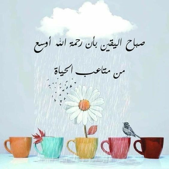 مسجات صباحية